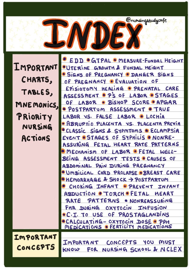 Maternity Nursing Study Guide Etsy