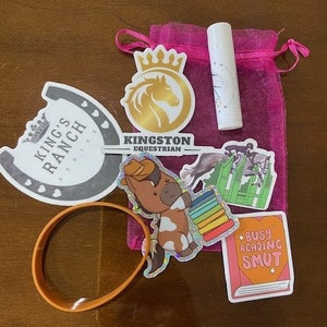 May include: A pink organza bag filled with various stickers and a lip balm. The stickers include a horseshoe with the text "King's Ranch", a horse head logo with the text "Kingston Equestrian", a horse jumping over a fence, a cartoon horse with a rainbow stack of books, and a book with the text "Busy Reading Smut".