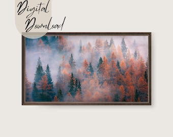 Foggy Autumn Forest Tv Art | Samsung Frame Tv Art | Forest Art For Frame Tv | Foggy Forest Tv Art | Digital Download
