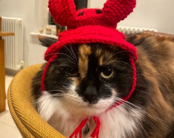 Hats for Cats - Crab hat, Crochet crab hat for cats