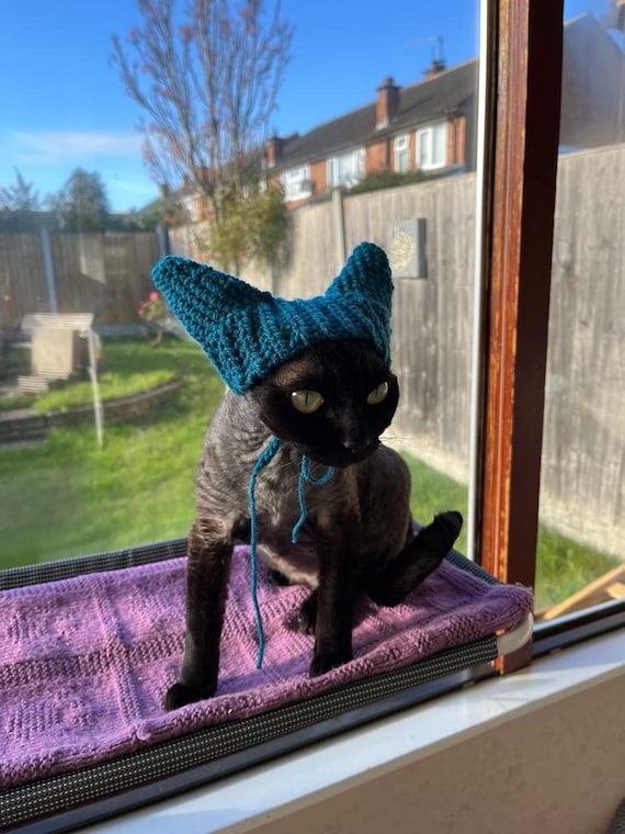Ear warmers for cats hotsell
