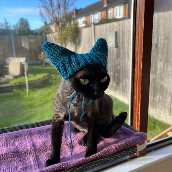 Hats for Cats - Cat Beanie, Crochet Cat Beanie Hat for Cats, Cat Ear Warmer, Devon Rex Hat, Sphinx Cat Hat