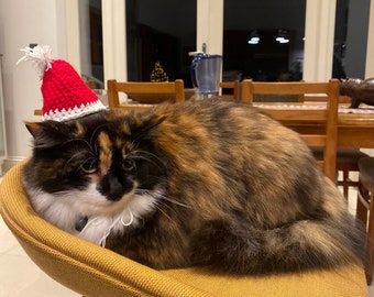 Hats for Cats - Santa hat, Crochet Santa Christmas Hat for Cats