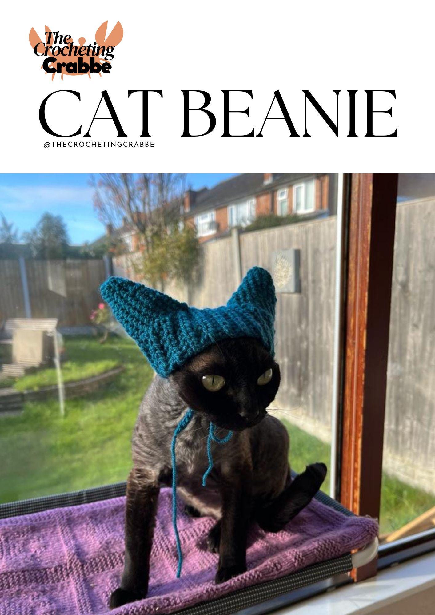Crochet Cat Sphynx - Etsy