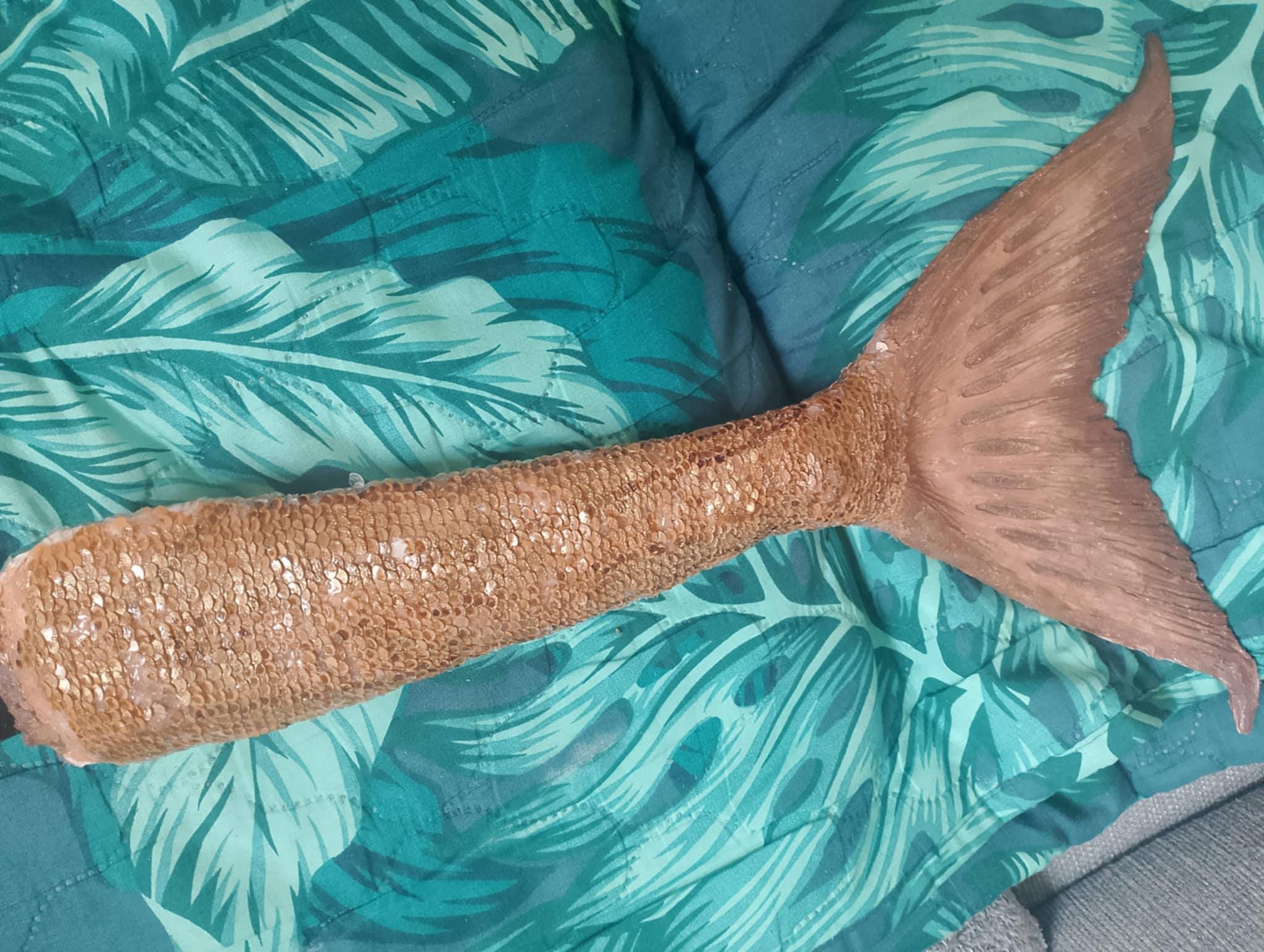 una sirena coda da sirena