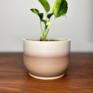 Unique Plant Pot | Tranquility Planter in Multicolor Cappuccino | 3D Printed Sustainable Planter