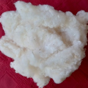 May include: A close-up of a clump of white cotton fibers. The cotton is soft and fluffy, and it appears to be natural.