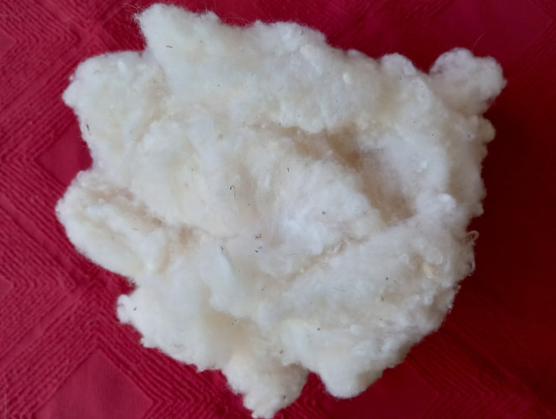 May include: A close-up of a clump of white cotton fibers. The cotton is soft and fluffy, and it appears to be natural.