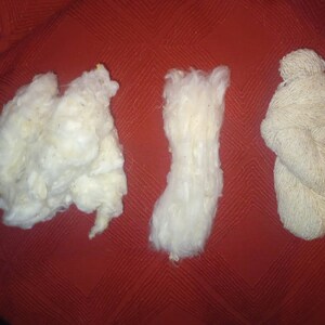 May include: Three white cotton balls, one is loose, one is a clump, and one is a twisted rope.
