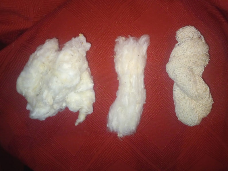 May include: Three white cotton balls, one is loose, one is a clump, and one is a twisted rope.