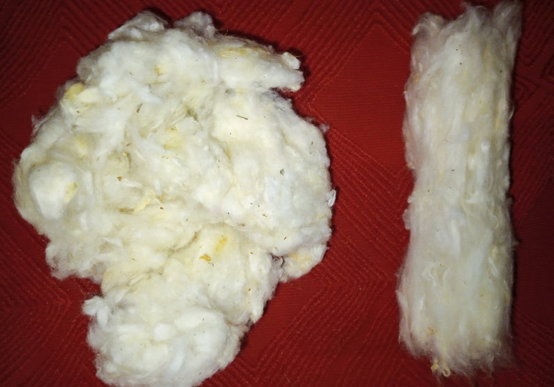 May include: Two clumps of white cotton fiber, one in a loose, rounded shape and the other in a long, thin shape, on a red textured surface.