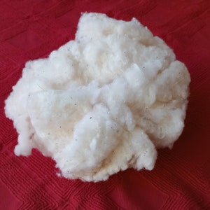 Raw Organic Cotton Fiber (lint) grown in Texas, for hand spinning, stuffing and other fiber crafts