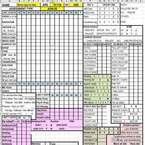 自動化された MDS キューシート - 2024 年 10 月 1 日に更新された最新のシートには、一部の州で引き続き要求されているセクション G の後期喪失 ADL が含まれています。
