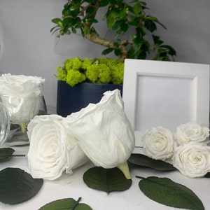 White Real Preserved Infinity Rose, Single Head, crafting project ideas, Shadow box, Floral arrangements, Christmas décor, lasts 1year+