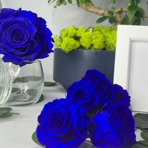Echte dunkelblaue Infinity Rose, Einzelköpfchen, Geschenkbox, Geschenkverpackung, Geschenkverpackung, hält 1 Jahr +