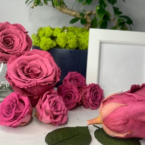 Lavender Real Preserved Infinity Rose, Single Head, crafting project ideas, Shadow box, Floral arrangements, Christmas décor, lasts 1year+