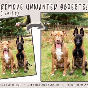 Könnte beinhalten: Vorher-Nachher-Vergleich von zwei Hunden. Das linke Bild zeigt zwei Hunde an der Leine, während das rechte Bild dieselben Hunde ohne Leinen zeigt. Der Text lautet "REMOVE UNWANTED OBJECTS! (Level 2)"