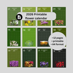 Könnte beinhalten: Ein druckbarer Blumenkalender 2026 mit 12 Seiten im A4-Format. Jeder Monat zeigt ein anderes Blumenbild, mit Monat und Jahr oben. Der Kalender ist mit einem grünen Hintergrund gestaltet.