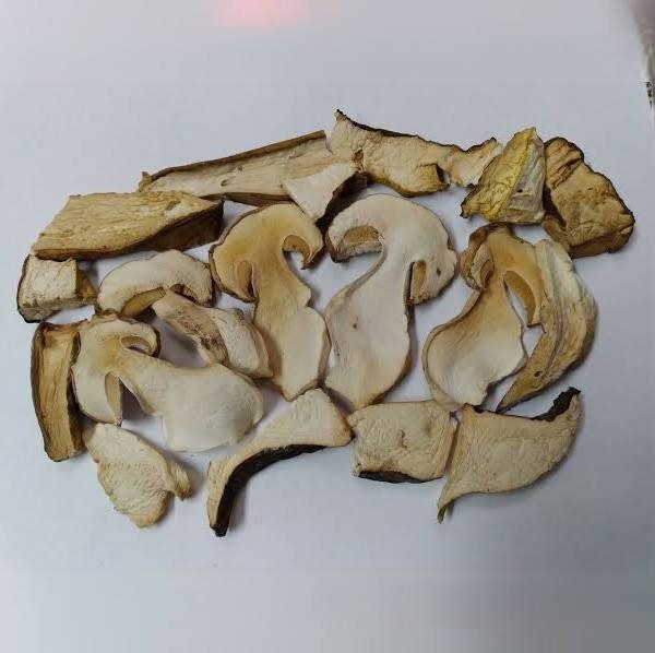 Shitake Mushroom – EDEN'S HK