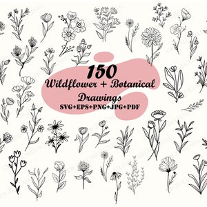 Botanical SVG, SVG Files, Flower Svg Bundle, Floral Svg, Leaves Svg, Branches Svg, Wildflower Svg Bundle, Flower svg, Botanical svg, Tattoo