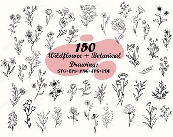 Botanical SVG, SVG Files, Flower Svg Bundle, Floral Svg, Leaves Svg, Branches Svg, Wildflower Svg Bundle, Flower svg, Botanical svg, Tattoo