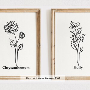 May include: Two black and white line drawings of flowers in frames. The left frame shows a chrysanthemum with the text "Chrysanthemum" below it. The right frame shows a holly plant with the text "Holly" below it.