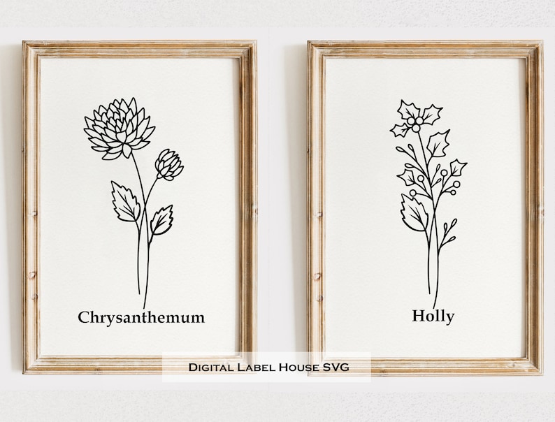 May include: Two black and white line drawings of flowers in frames. The left frame shows a chrysanthemum with the text "Chrysanthemum" below it. The right frame shows a holly plant with the text "Holly" below it.