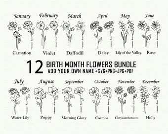Pacote de arquivos SVG com flores para cada mês de nascimento, desenhos florais botânicos (download digital)