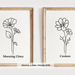 May include: Two framed prints with black line drawings of flowers. The print on the left shows a morning glory flower with the text "Morning Glory" below it. The print on the right shows a cosmos flower with the text "Cosmos" below it.