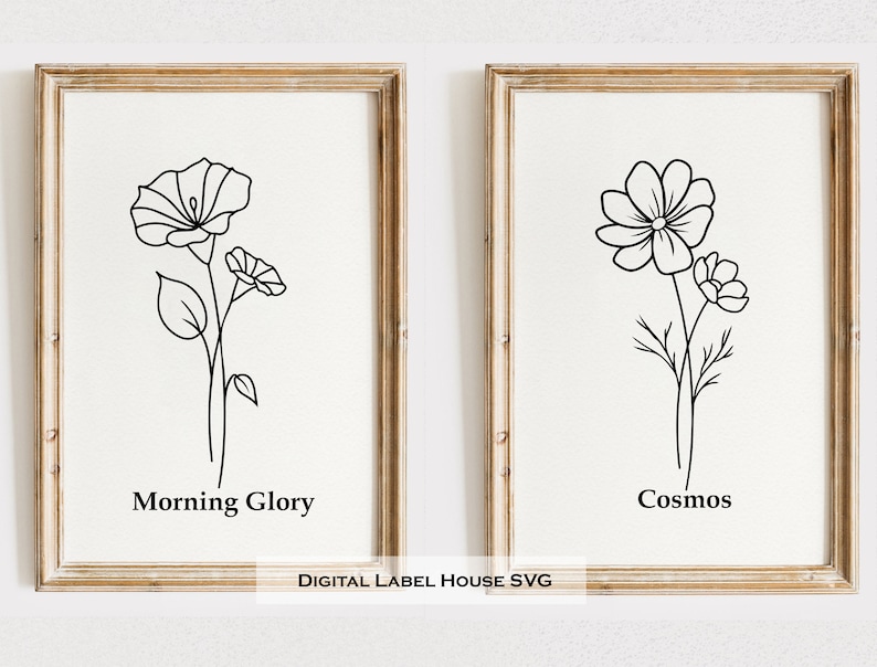 May include: Two framed prints with black line drawings of flowers. The print on the left shows a morning glory flower with the text "Morning Glory" below it. The print on the right shows a cosmos flower with the text "Cosmos" below it.
