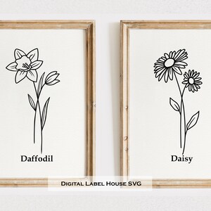May include: Two black and white line drawings of flowers in frames. The left frame shows a daffodil with the word "Daffodil" below it. The right frame shows a daisy with the word "Daisy" below it.