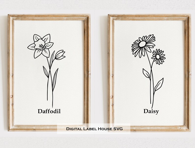 May include: Two black and white line drawings of flowers in frames. The left frame shows a daffodil with the word "Daffodil" below it. The right frame shows a daisy with the word "Daisy" below it.