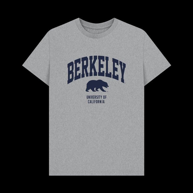 Bear Print Short Sleeve T Shirt Light Grey - Etsy New Zealand