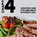 Carb Cycling for Weight Loss PDF Ebook, Digital Download - Etsy