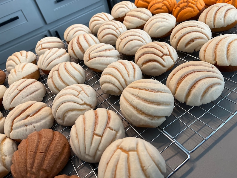 Conchas, Pan Dulce, Mexican Sweet Bread Etsy