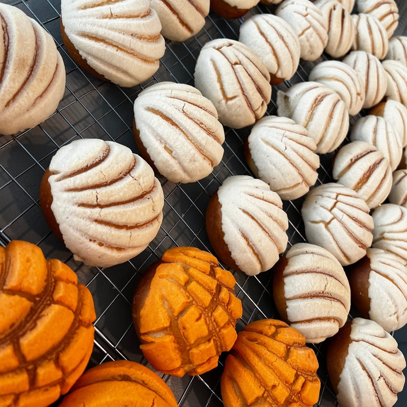 Conchas, Pan Dulce, Mexican Sweet Bread Etsy