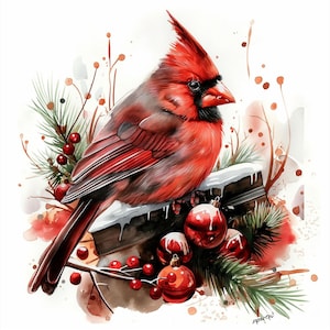 15 Christmas Red Cardinal Bird Clipart | Festive Holiday Illustration | Winter Cardinal Art | Red Bird Decorations | Digital File