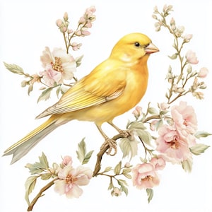 15 Canary Clipart Set | Vibrant Yellow Bird Illustrations, Nature-Inspired Art | Perfect for Crafts, Scrapbooking, and DIY Projects