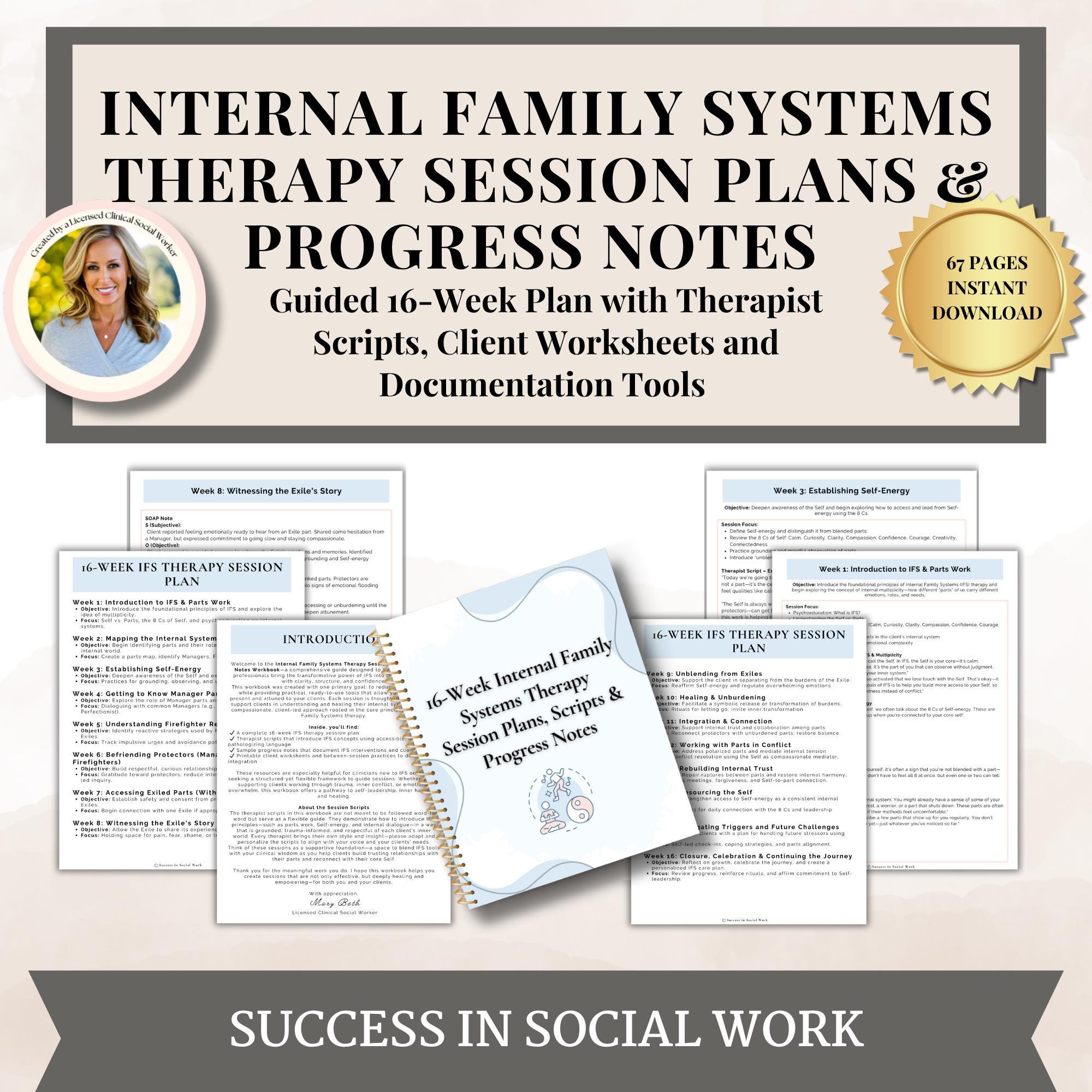 Ifs Progress Note Example Internal Family Systems Therapy Workbook, IFS Session Plans, Scripts ...