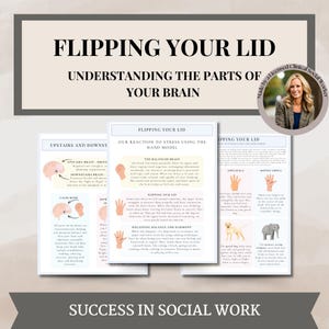 Understanding your Brain when your flipping your lid, Brain and Neuroscience Therapy worksheets therapy tools for Therapists,Psychoeducation