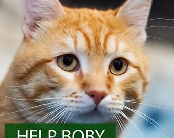 Helping animals Cat Art Print | Ginger Tabby 'Help Bob' Charity (Digital Download)