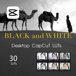 LUT in bianco e nero per CapCut Desktop – 30 .CUBE / Rec709 + LOG (S-Log3/V-Log) / Pellicola monocromatica