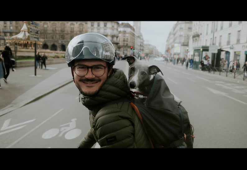 May include: A man wearing a black helmet and a green jacket is riding a bicycle with a grey dog in a carrier on his back. The dog is looking at the camera.