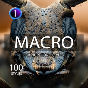 May include: Close-up of a beetle's face with large black eyes and a brown hairy body. The text "MACRO" and "CAPTURE ONE STYLES" is displayed below the image. The number "100" is displayed below the text and the word "STYLES" is displayed below the number.