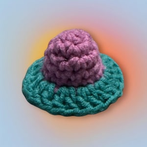 May include: A small crocheted hat with a purple crown and a teal brim.