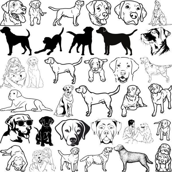 Labrador SVG bundle, Dog Silhouette Svg, Cut Files, Bundle Svg , Instant Download png ai dxf jpg Dog Clipart, dog Cut File,