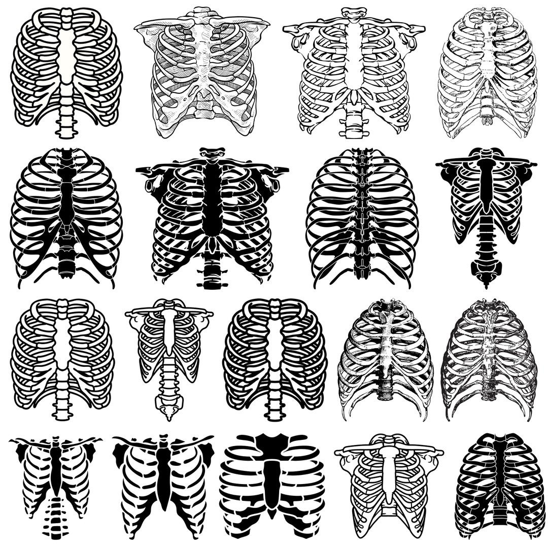 Skeleton Rib SVG Bundle, Rib Cage Svg, Skeleton Rib Cage SVG, Skeleton ...