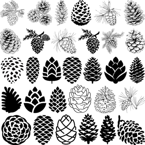 Bundle svg pomme de pin, pomme de pin svg, clipart pin, vecteur de pin, pomme de pin des bois Svg, Svg de plante automne, Svg de cône de conifère, clipart cône,