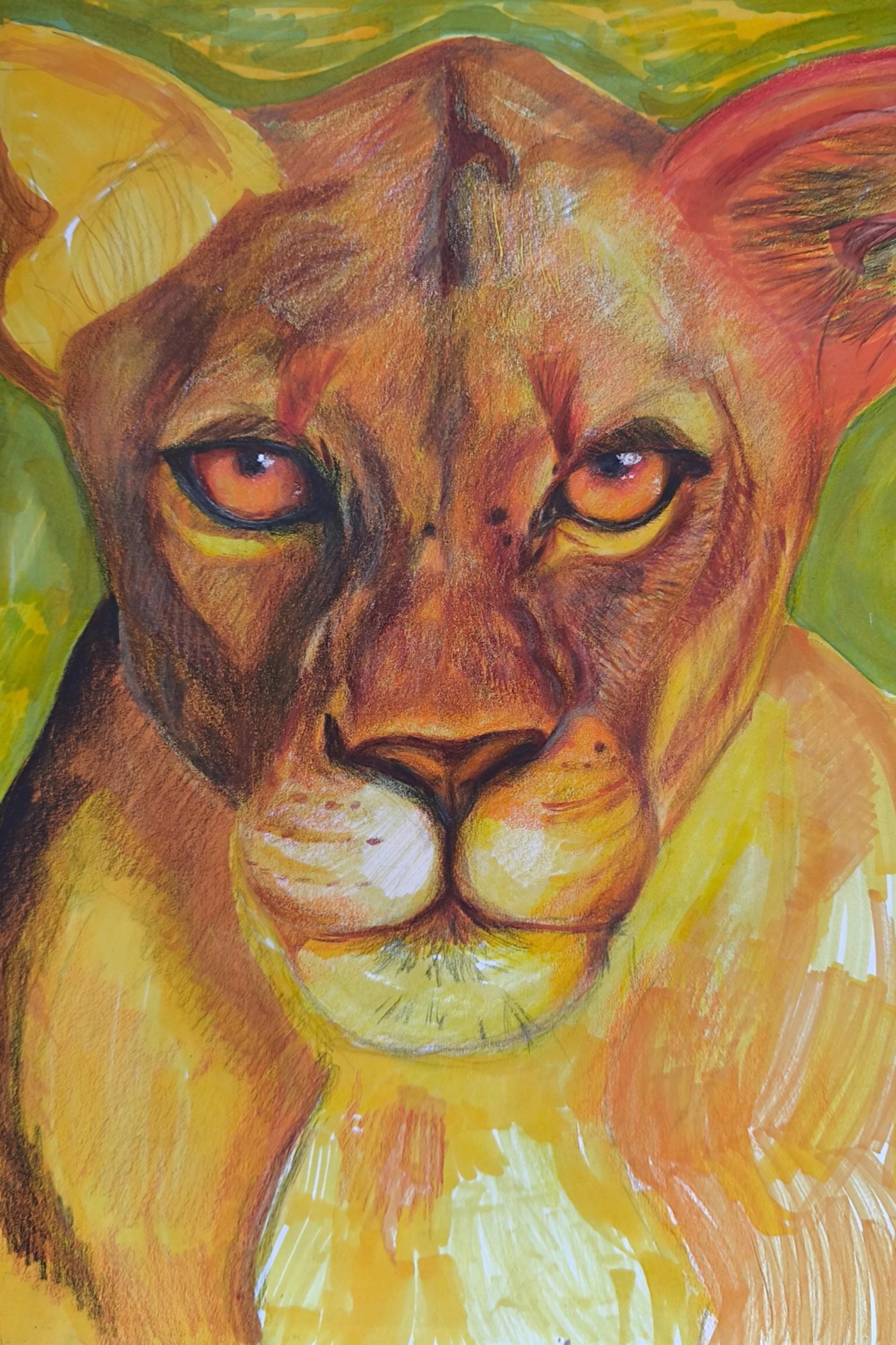 Lioness,art Print From Original Drawing - Etsy Australia