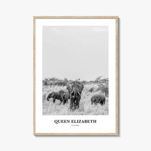 Queen Elizabeth National Park Wall Art, Queen Elizabeth Wall Decor, Queen Elizabeth Poster, Queen Elizabeth Home Decor, Queen Elizabeth